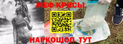 индика Кингисепп