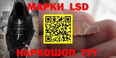 индика Кингисепп