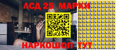 индика Кингисепп