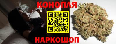 индика Кингисепп