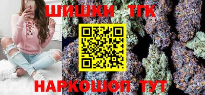 индика Кингисепп