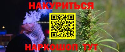 индика Кингисепп