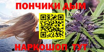 индика Кингисепп