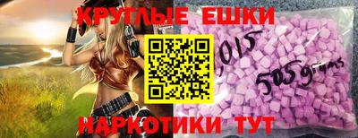 индика Кингисепп