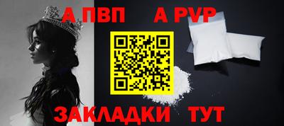 индика Кингисепп