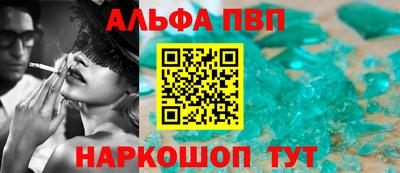 индика Кингисепп