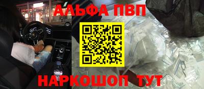 индика Кингисепп
